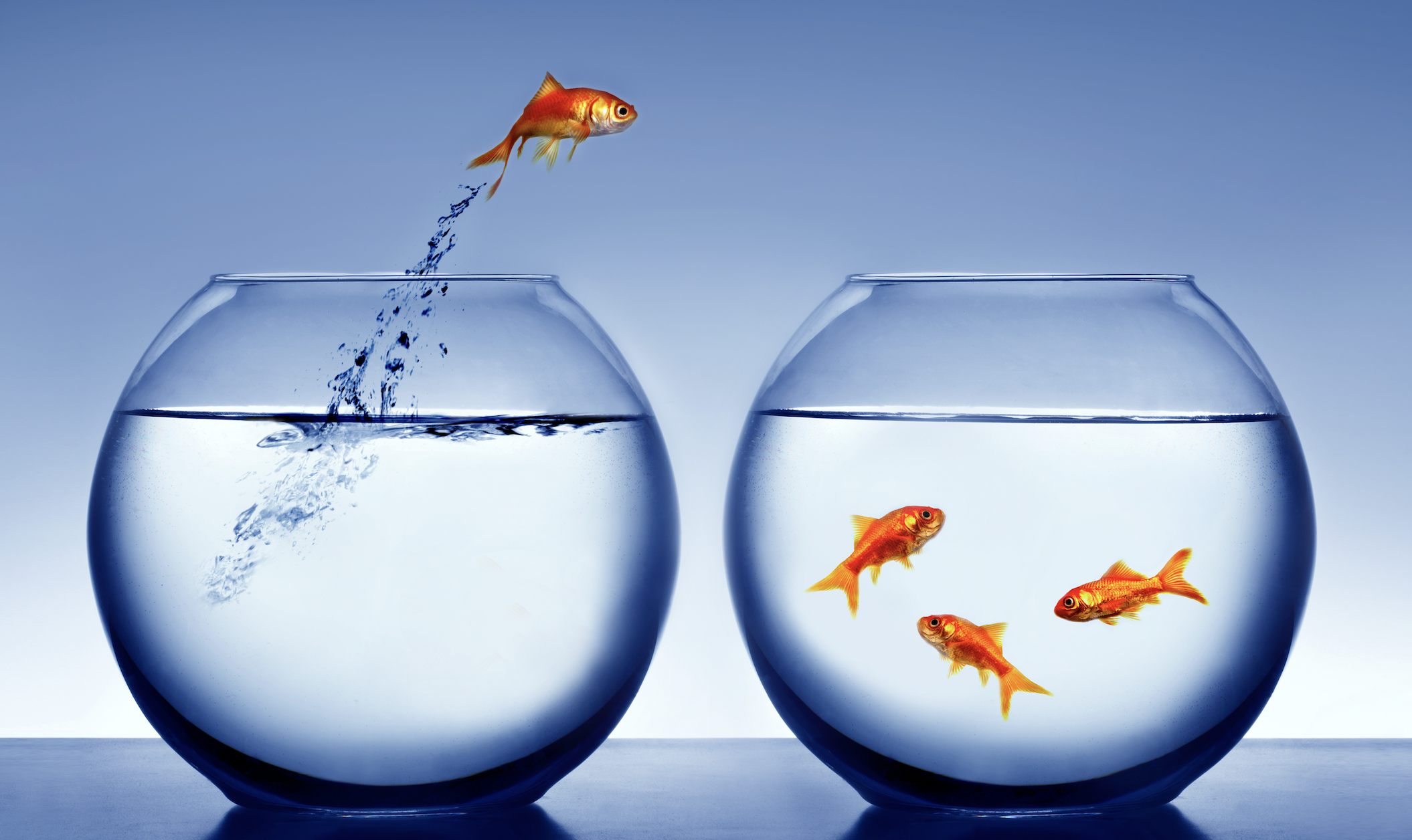 aquaTECH - flocculant, coagulant, cosmetics, water treatment